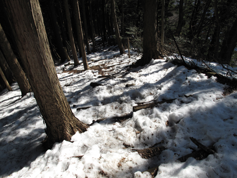 20160128hike (231)